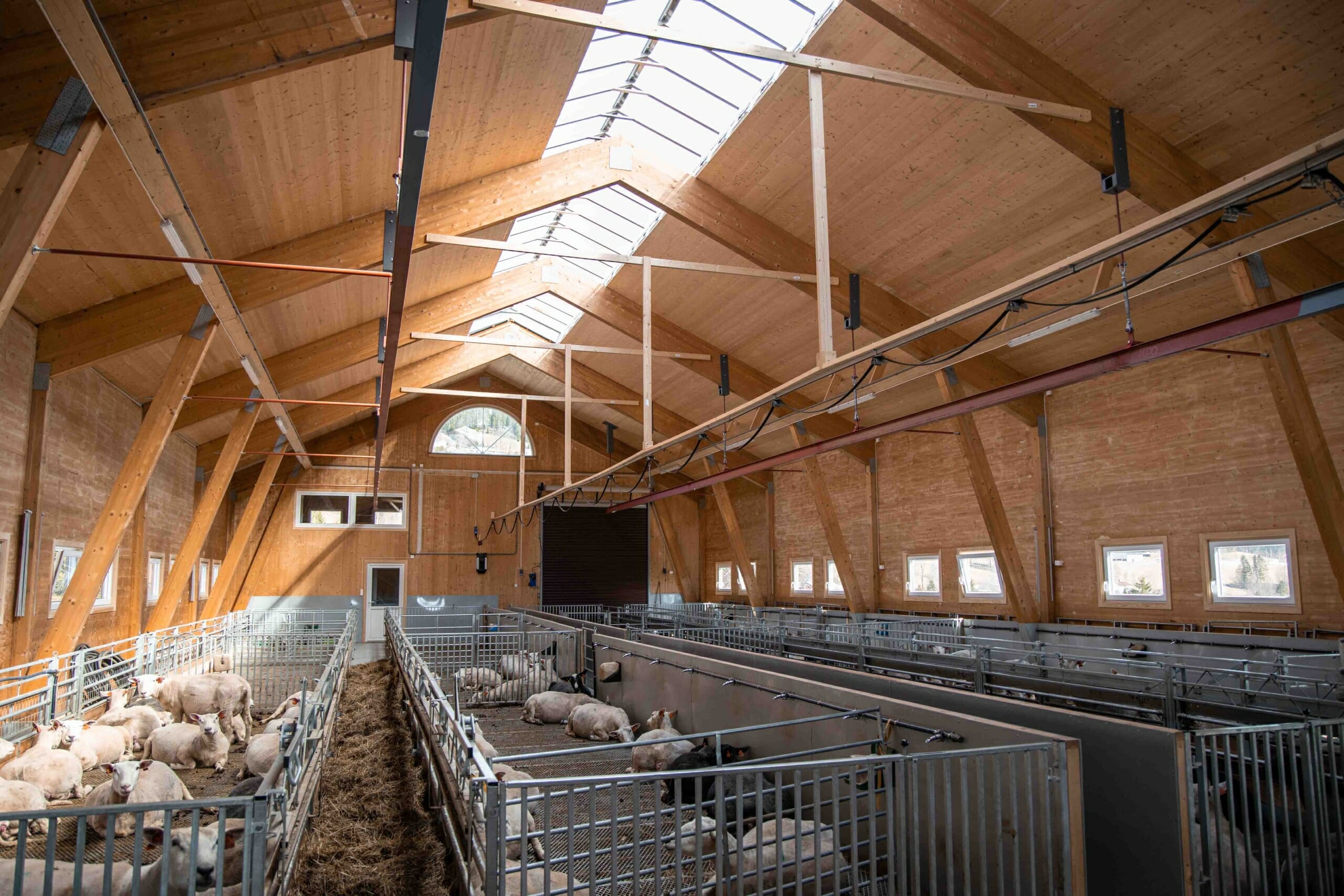 Landbruksbygg i massivtre