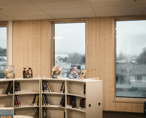Splitkon_skavanger-8 Bøker i bokhylle med utsikt ut vinduet bak, foto.