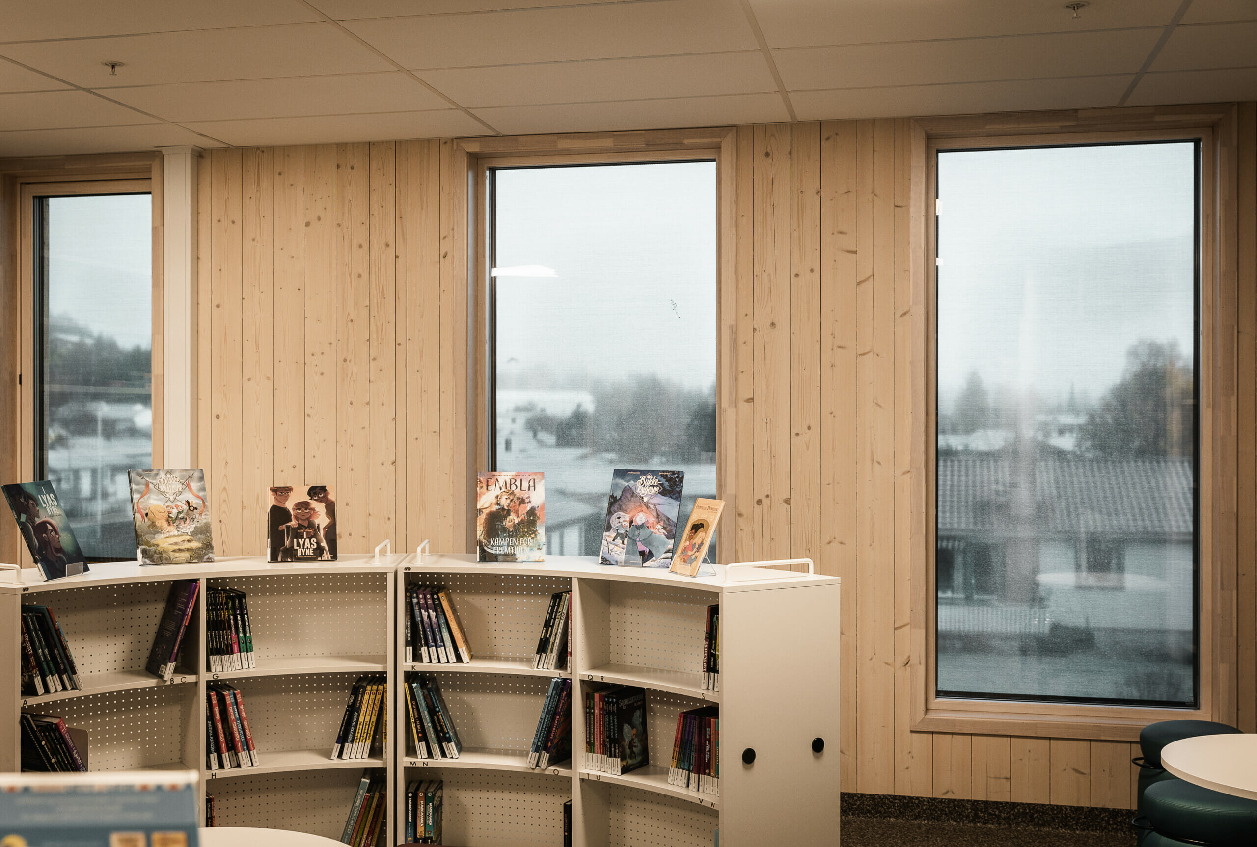 Bøker i bokhylle med utsikt ut vinduet bak, foto.