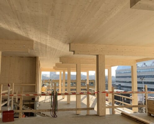 Innvendig bygging av Hasletre, foto.