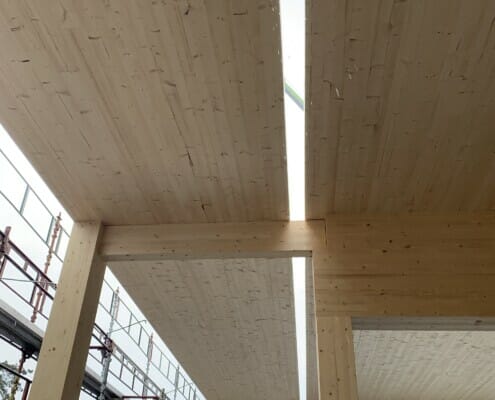 IMG_4032 Massivtre tak med stilas i bakgrunnen, foto.