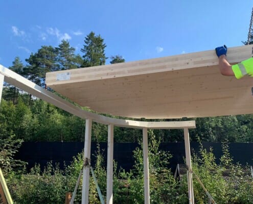 Massivtre blir plassert på byggeplass, foto.