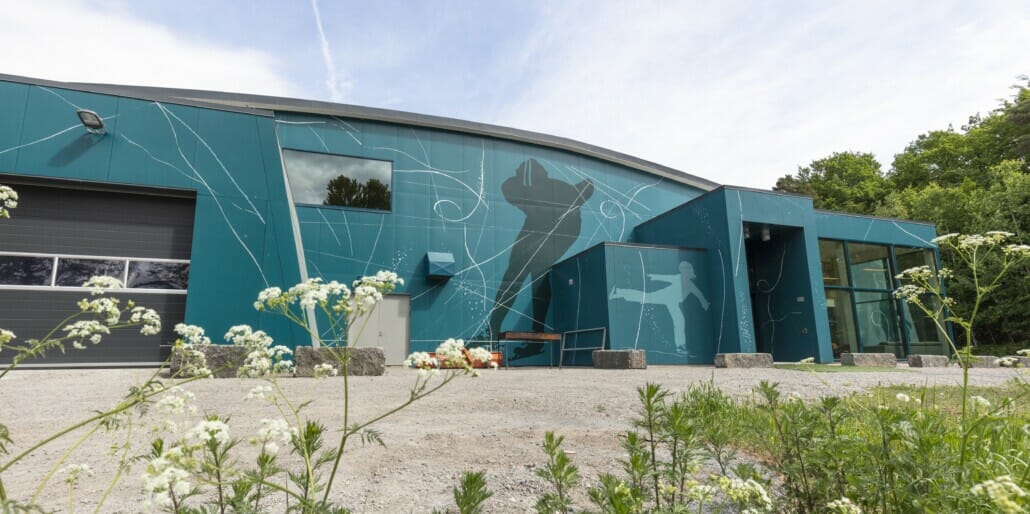 Maleri på veggen utenfor Bugården ishall, foto.